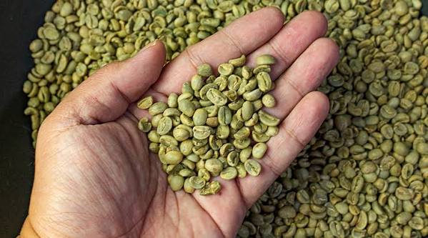 Green Coffee