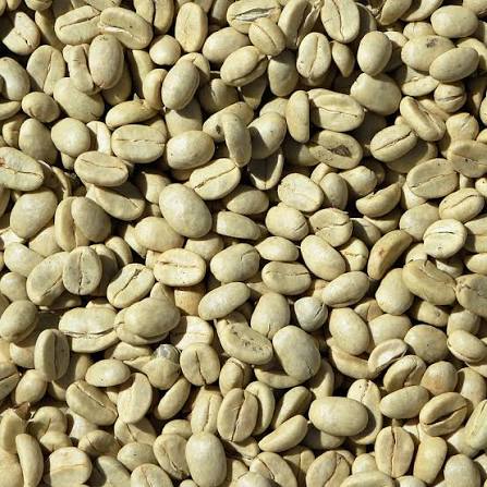 Green Coffee