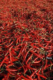 Red Chilli