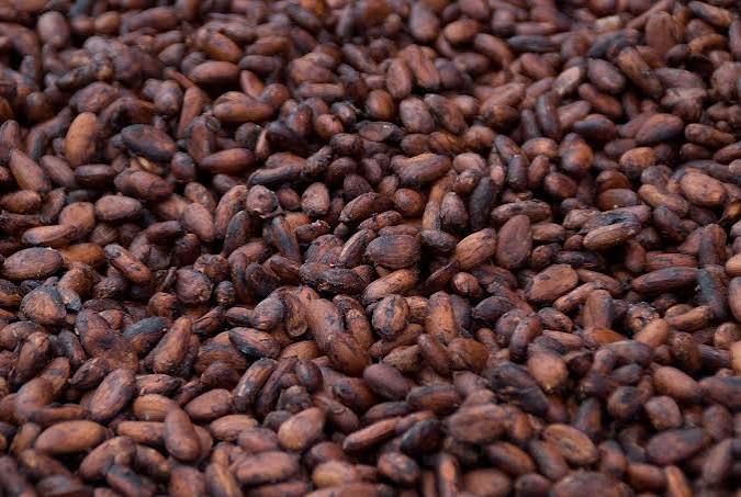 Cocoa beans