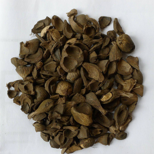 Palm Kernel