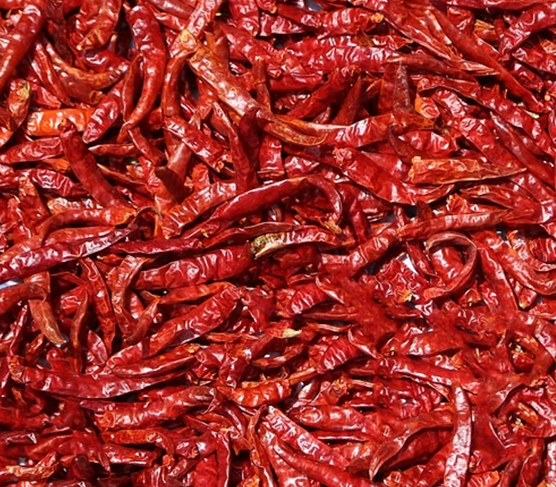 Red Chilli