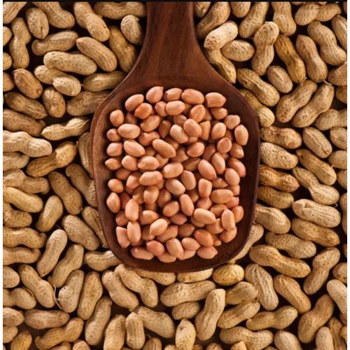 Groundnuts
