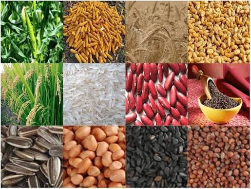 Agricultural