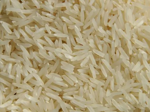 Rice